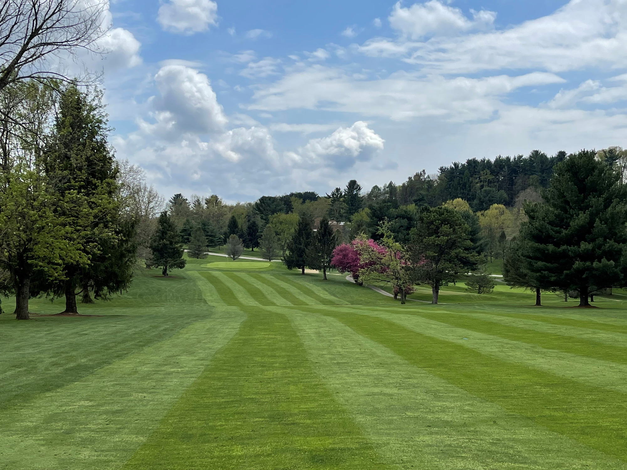 Course photo for Suncrest Golf and Grille
